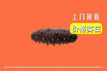 杭州富阳区回收海参