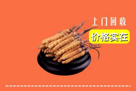 杭州富阳区回收冬虫夏草