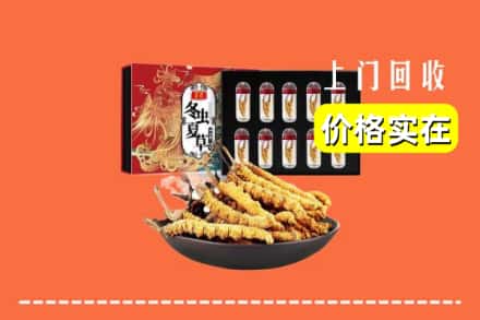 杭州富阳区回收虫草