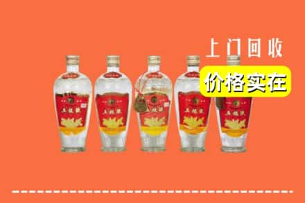 杭州富阳区回收老五粮液